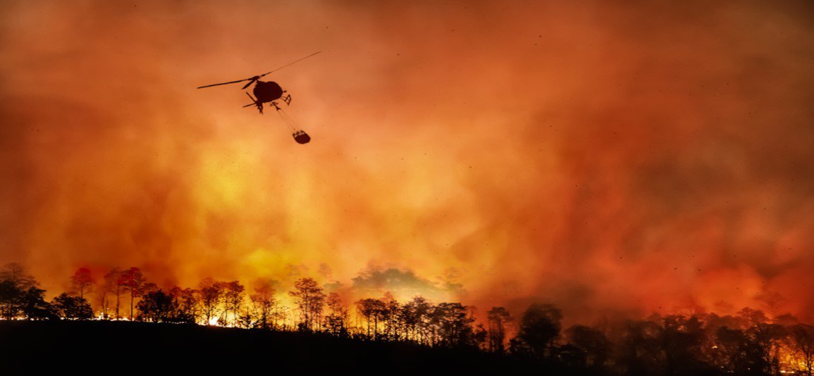Forest fire at night