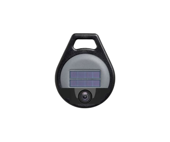 FANTOM leaf node