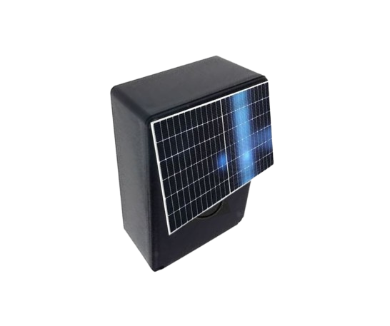 FANTOM trunk base node